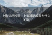 上海机场股票，上海机场股票为什么不涨
