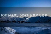 600734股票，600734股票公司是做什么的