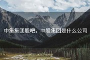 中集集团股吧，中股集团是什么公司