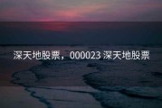 深天地股票，000023 深天地股票