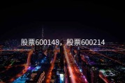 股票600148，股票600214