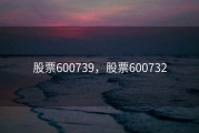 股票600739，股票600732