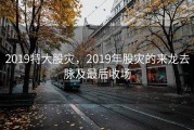 2019特大股灾，2019年股灾的来龙去脉及最后收场