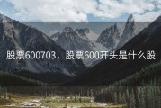 股票600703，股票600开头是什么股