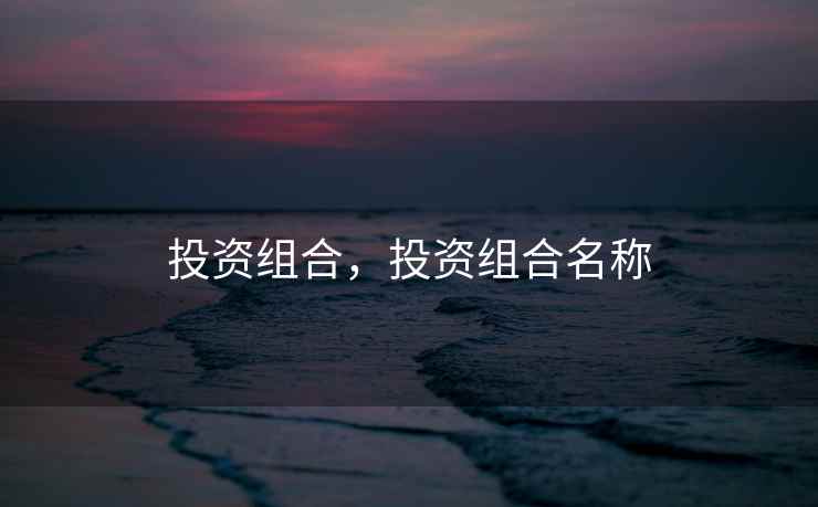投资组合，投资组合名称