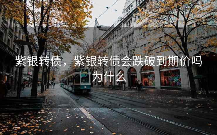 紫银转债，紫银转债会跌破到期价吗为什么