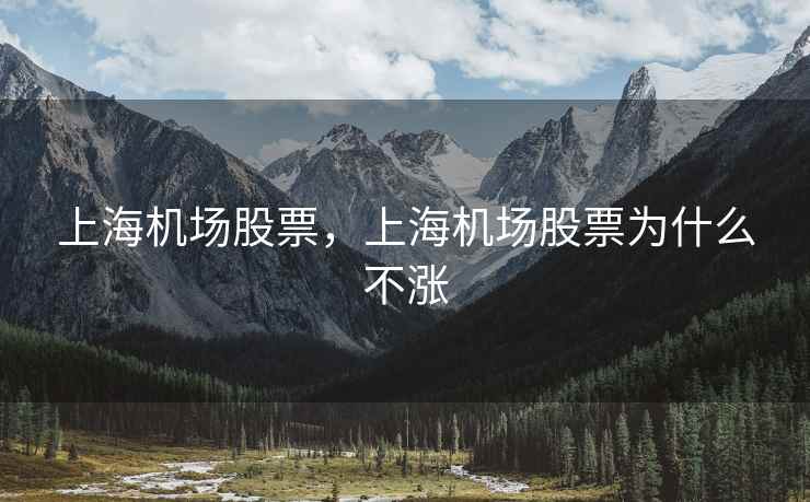 上海机场股票，上海机场股票为什么不涨