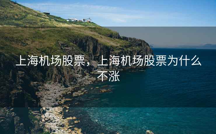 上海机场股票，上海机场股票为什么不涨