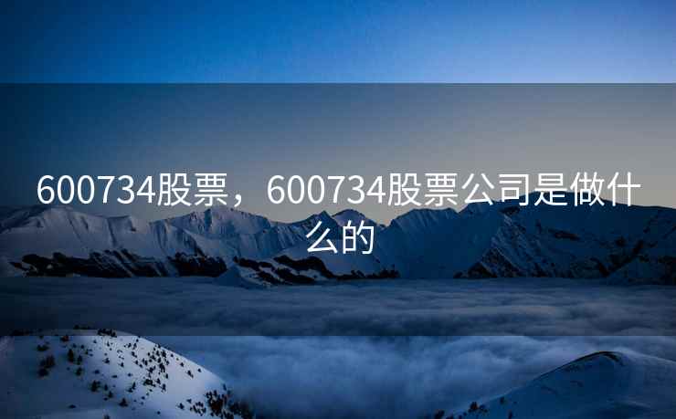 600734股票，600734股票公司是做什么的
