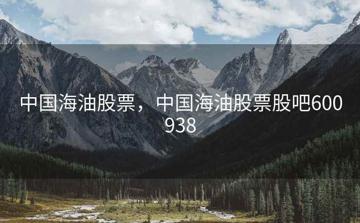 中国海油股票，中国海油股票股吧600938