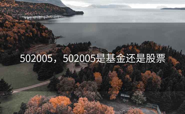 502005，502005是基金还是股票