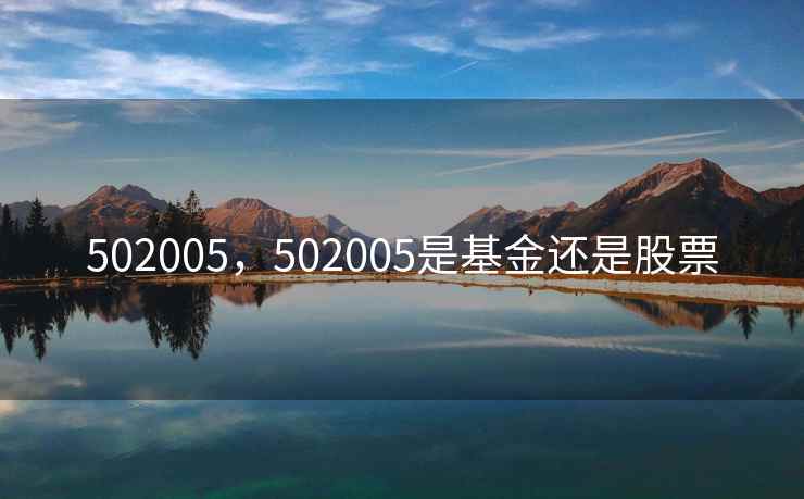 502005，502005是基金还是股票