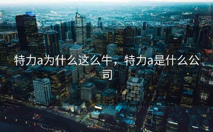 特力a为什么这么牛，特力a是什么公司