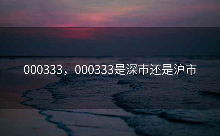 000333，000333是深市还是沪市
