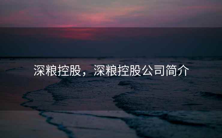 深粮控股，深粮控股公司简介