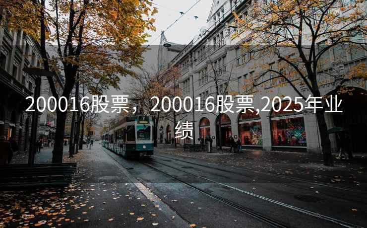 200016股票，200016股票,2025年业绩