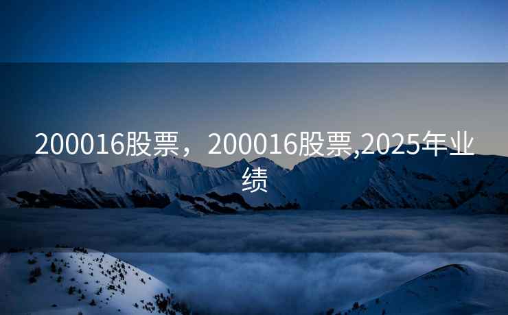 200016股票，200016股票,2025年业绩