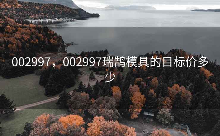 002997，002997瑞鹄模具的目标价多少