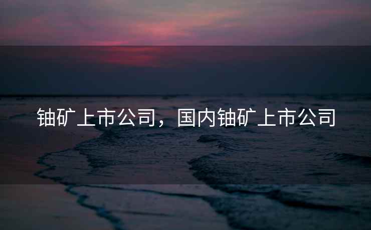 铀矿上市公司，国内铀矿上市公司