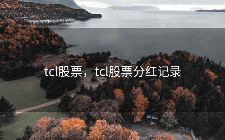 tcl股票，tcl股票分红记录
